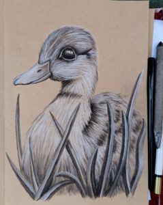 Ente